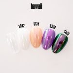 HAWAII 101