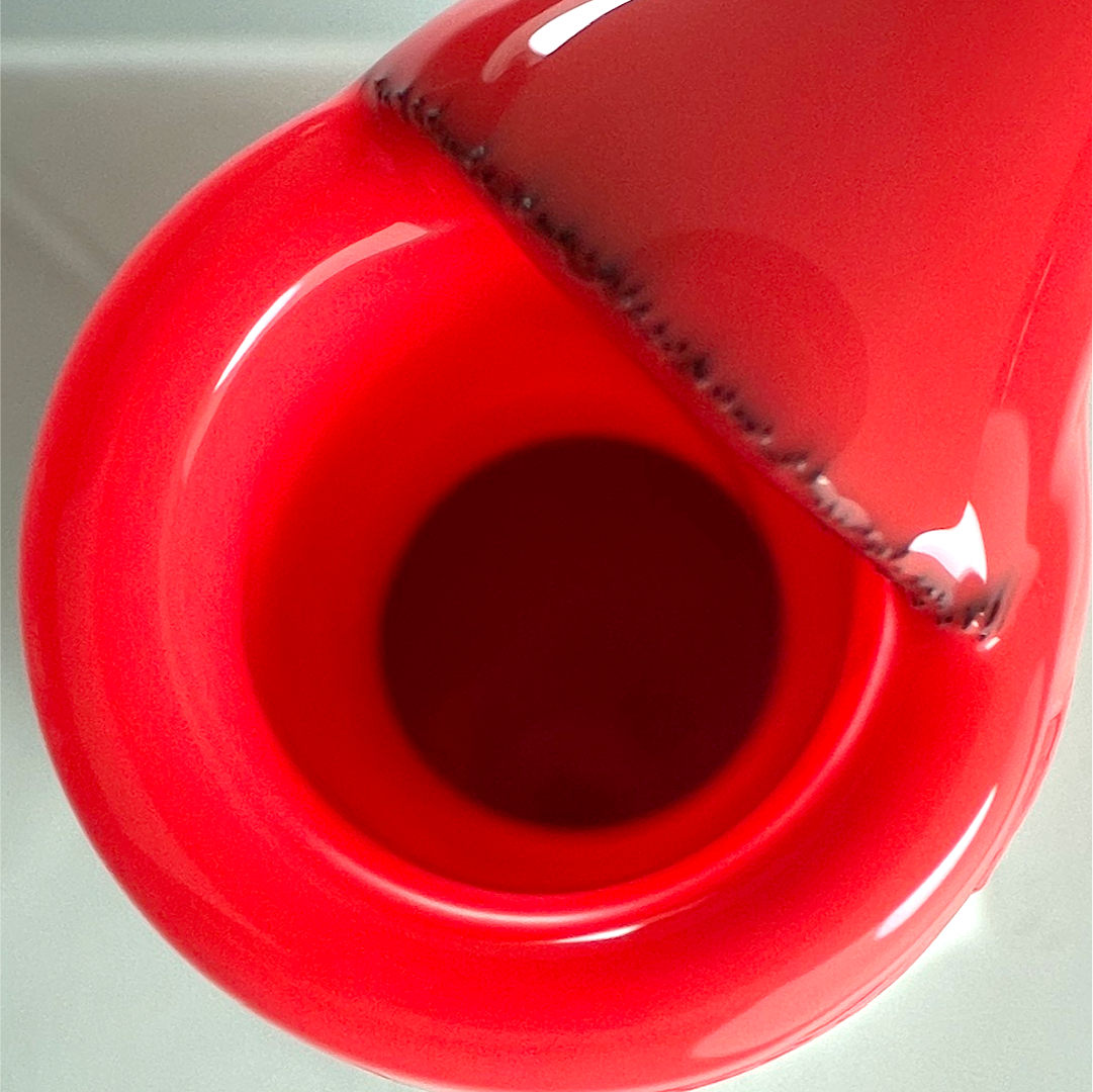 S011 ZOOM