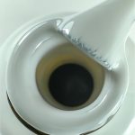 S024 ZOOM