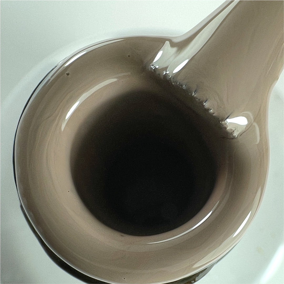 S070 ZOOM