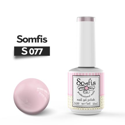 S077 1