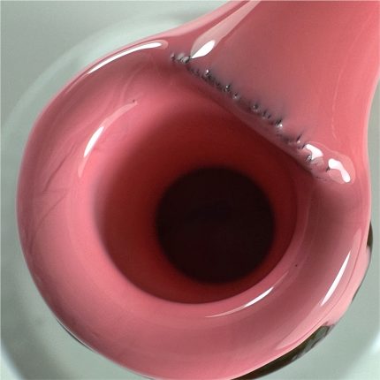 S081 ZOOM