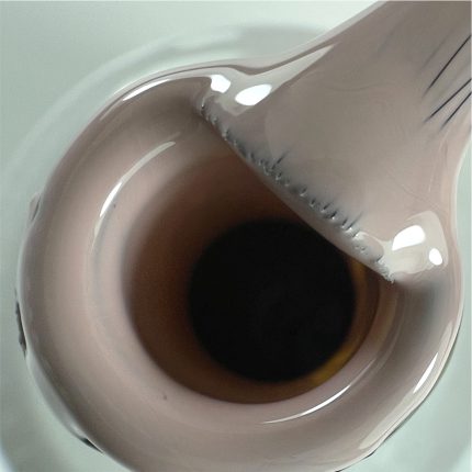 S089 ZOOM