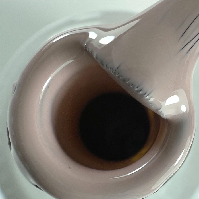 S089 ZOOM