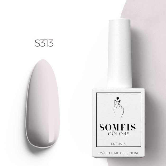 S313 2021