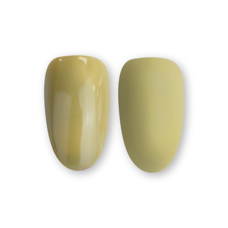 S404 TIP
