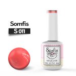 S011 1
