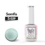 S029 1