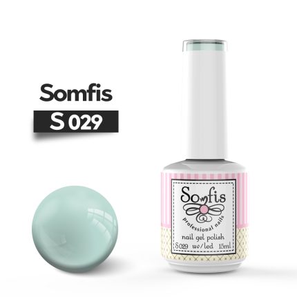 S029 1