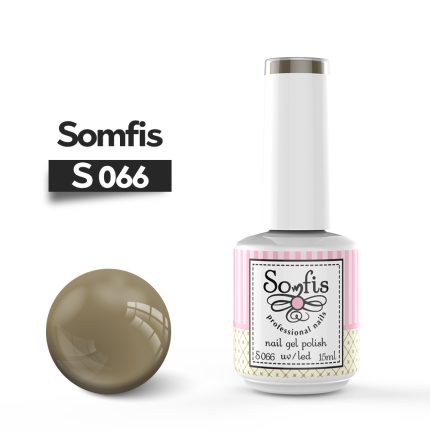 S066 1