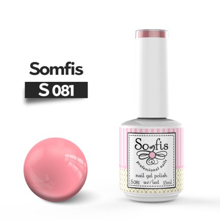 S081 1