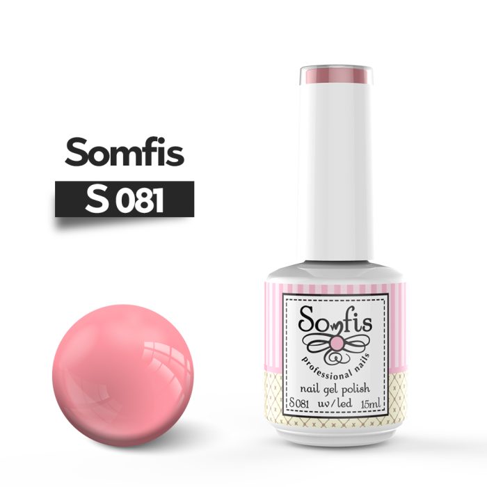 S081 1