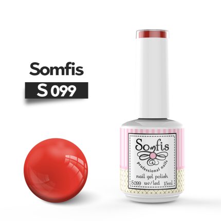 S099