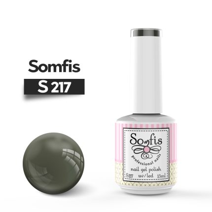 S217 1