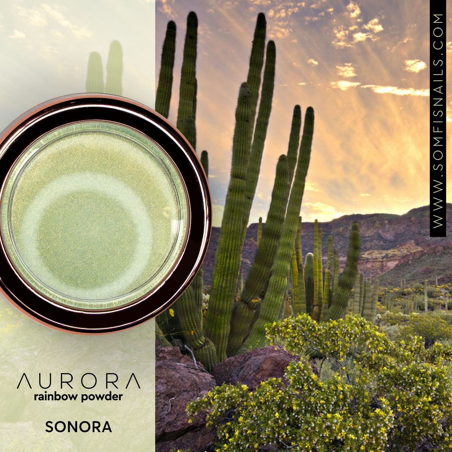 Sonora